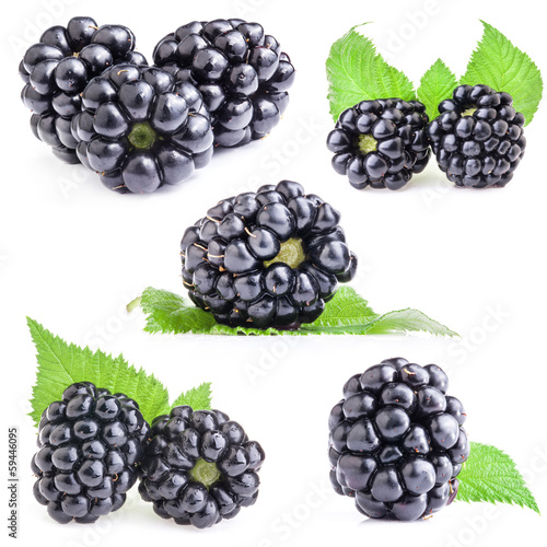 Photo: Collections of Blackberry with leaves isolated on white Collections of Blackberry with leaves isolated on white