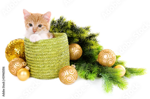 Photo: Little kitten with Christmas decorations isolated on white Little kitten with Christmas decorations isolated on white