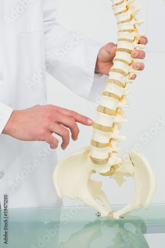 Photo: Mid section of a male doctor with skeleton model Mid section of a male doctor with skeleton model