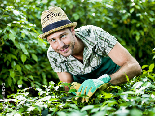 Photo: farmer pruning plants farmer pruning plants