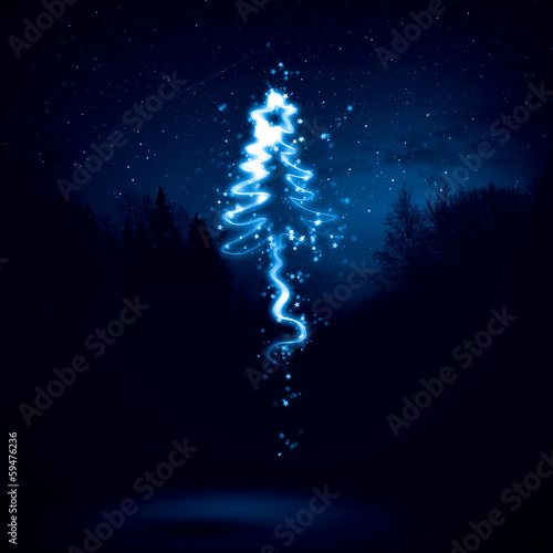 Photo: Christmas tree Christmas tree