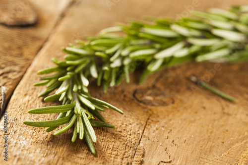Photo: Fresh Organic Green Rosemary Fresh Organic Green Rosemary