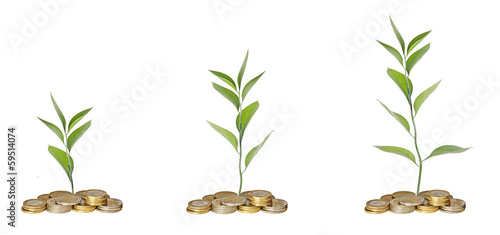 Photo: Saplings growing from coins Saplings growing from coins