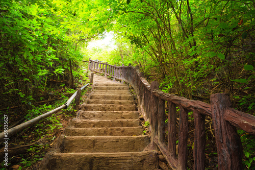  Stairway to forest, Kanchanburi,Thailand
