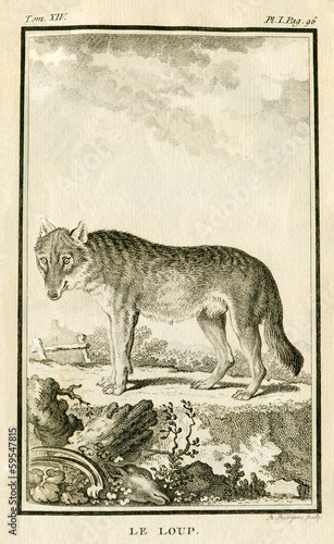 Illustration: Wolf Wolf