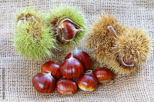 Photo: Shelled and unshelled Spanish chestnuts (Sweet chestnuts) Shelled and unshelled Spanish chestnuts (Sweet chestnuts)