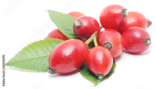 Photo: wild rose berries wild rose berries