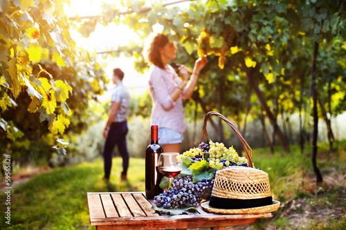 Photo: grape and wine composition in vineyard grape and wine composition in vineyard