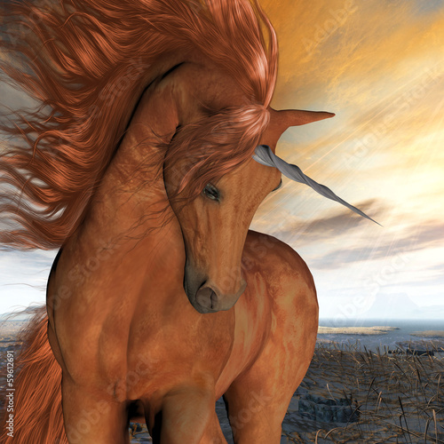 Illustration: Burnt Sky Unicorn Burnt Sky Unicorn