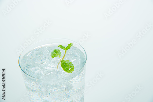 Photo: ミントと炭酸水 ミントと炭酸水
