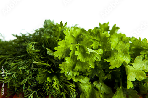 Photo: dill and parsley dill and parsley