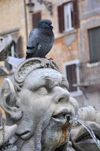 Photo: Pigeon at fountain Pigeon at fountain