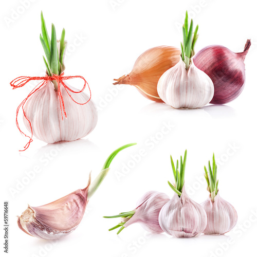 Photo: Collections of sprout garlic isolated on white Collections of sprout garlic isolated on white