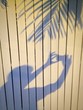 Her Shadow Her Shadow