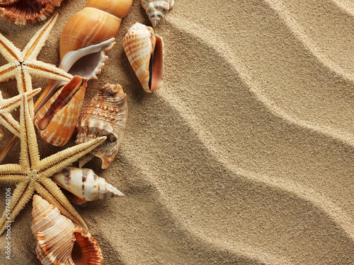 Photo: Sea shell on sand Sea shell on sand