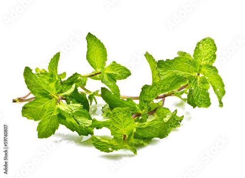 Photo: Fresh mint close up on white background Fresh mint close up on white background