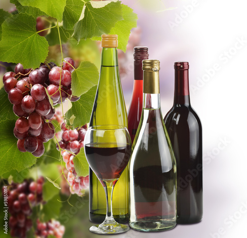 Photo: Wine Collection Wine Collection