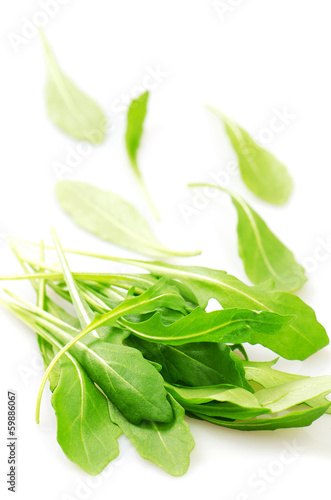 Photo: Rucola, isolated Rucola, isolated