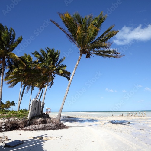 Photo: Cuba - Cayo Guillermo Cuba - Cayo Guillermo