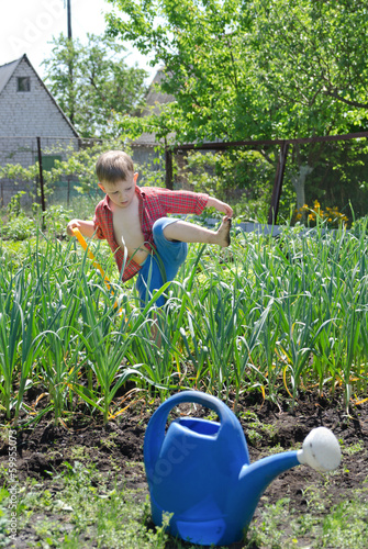 Photo: Young boy working in the veggie garden Young boy working in the veggie garden