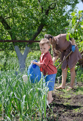 Photo: Young boy watering the vegetable garden Young boy watering the vegetable garden