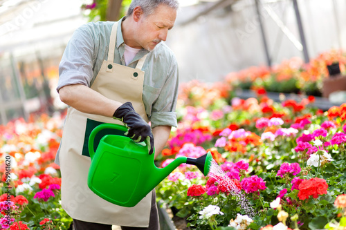 Photo: Portrait of a greenhouse worker watering plants Portrait of a greenhouse worker watering plants