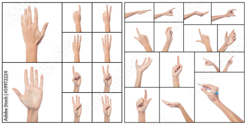 Photo: Collage of woman hands, various gestures. Collage of woman hands, various gestures.