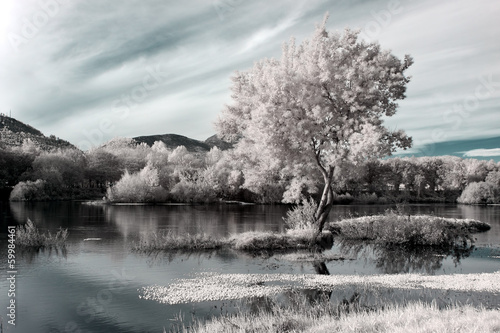 Photo: infrared river landscape infrared river landscape