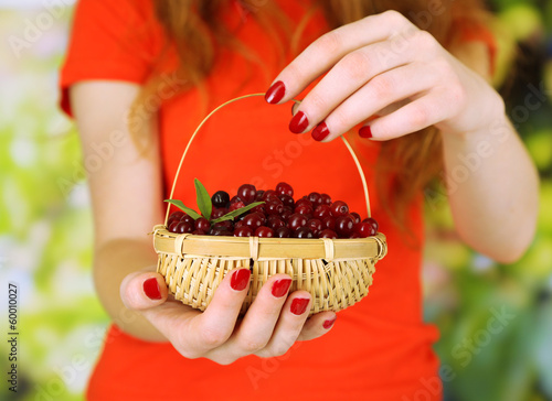 Photo: Woman hands holding basket of ripe red cranberries, close up. Woman hands holding basket of ripe red cranberries, close up.