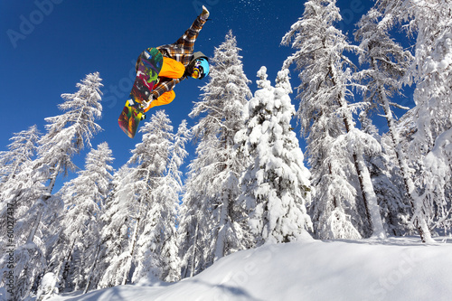 Photo: foresta ghiacciata con snowboarder in volo foresta ghiacciata con snowboarder in volo