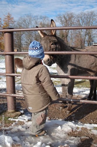 Photo: Kind und Esel im Blickkontakt Kind und Esel im Blickkontakt