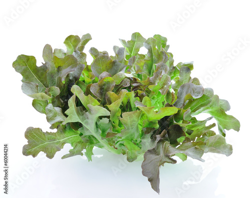 Photo: fresh green lettuce leaves isolated on white fresh green lettuce leaves isolated on white