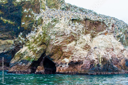 Photo: Peru,South America, coast at Paracas Peru,South America, coast at Paracas