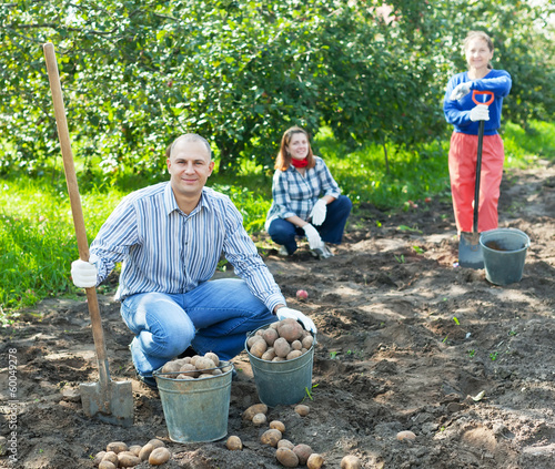 Photo: family harvesting potatoes in garden family harvesting potatoes in garden