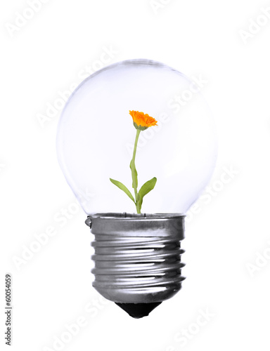 Photo: Flower growing inside light bulb isolated on white Flower growing inside light bulb isolated on white