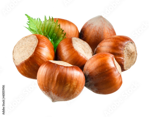 Photo: Hazelnut nut closeup isolated on white Hazelnut nut closeup isolated on white