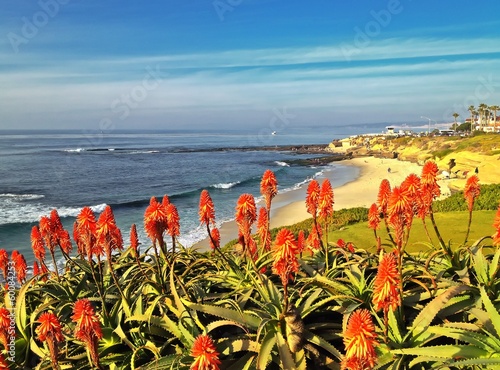 Instant Collection: Scenic View of La Jolla Beach San Diego Southern California Scenic View of La Jolla Beach San Diego Southern California