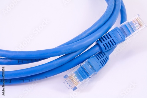 Photo: UTP cable - network UTP cable - network