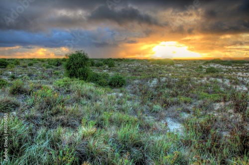 Photo: The Nullarbor sunsets in Australia The Nullarbor sunsets in Australia