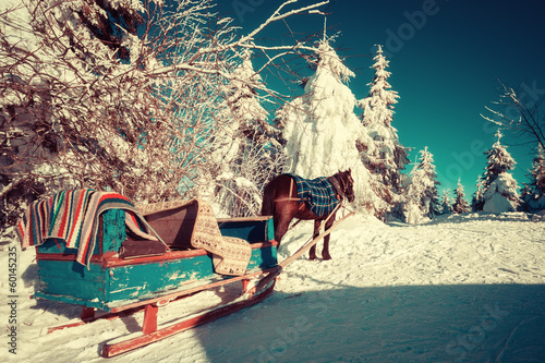 Photo: Horse and sleigh in the Ukrainian Carpathians Horse and sleigh in the Ukrainian Carpathians