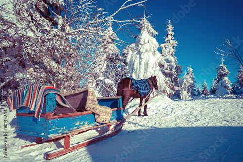 Photo: Horse and sleigh in the Ukrainian Carpathians Horse and sleigh in the Ukrainian Carpathians