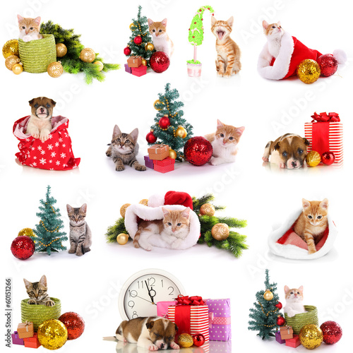 Photo: Collage of kittens and puppy with Christmas decorations Collage of kittens and puppy with Christmas decorations