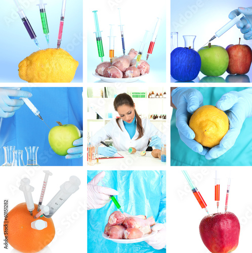 Photo: Genetic engineering laboratory. GMO food concept Genetic engineering laboratory. GMO food concept