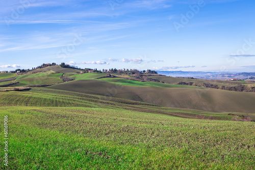 Photo: Colline toscane Colline toscane
