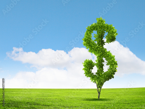 Photo: Wealth concept Wealth concept
