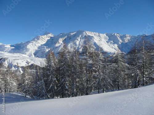 Photo: landscape landscape