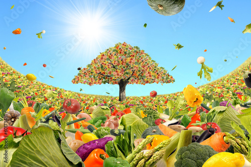 Photo: 野菜の木 野菜の木