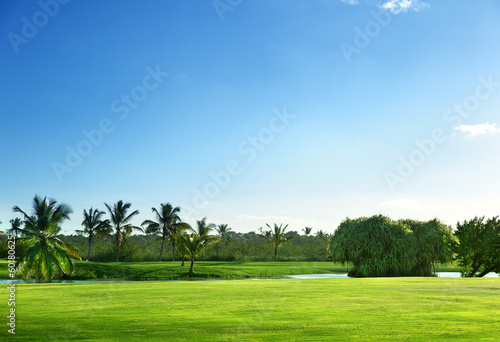 Photo: golf course golf course