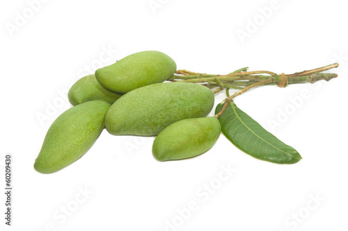 Photo: green mango fruits green mango fruits