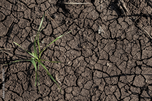 Photo: Dry Land Dry Land